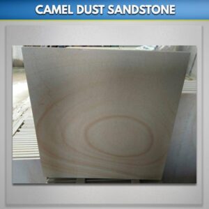 Camel-Dust-Export-India