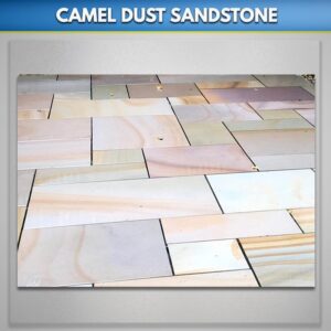 Camel-Dust-sandstone-Paving-Stone Suppliers