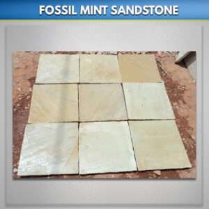 Fossil-Mint-sandstone Exporter